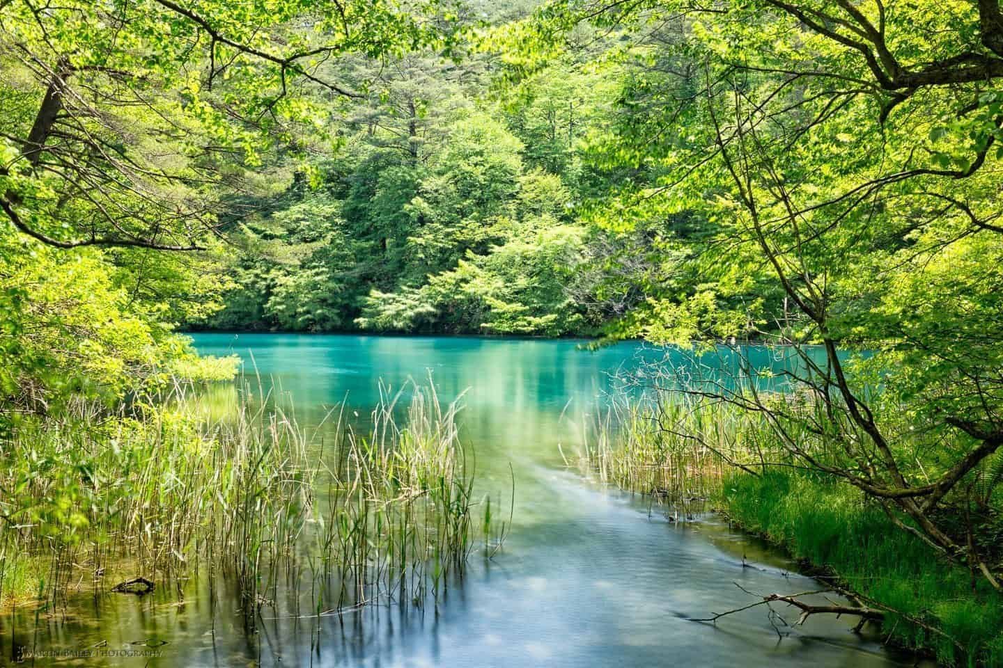 🏞️ 금모래 호수 (킨샤코)